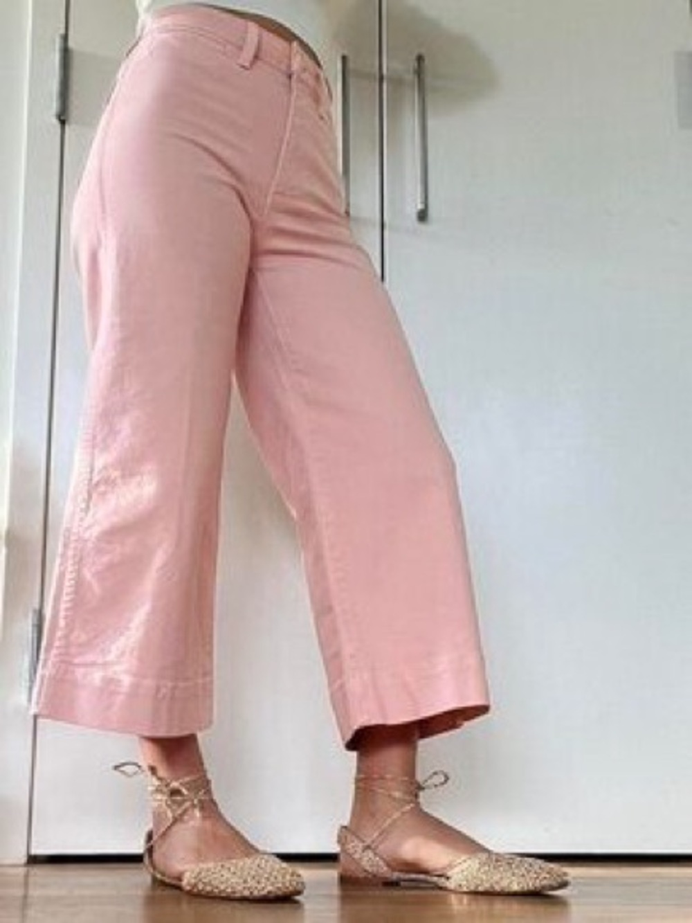 Madewell Emmett Wide Leg Cropped  Canvas Pants in Oyster Blush Size 25